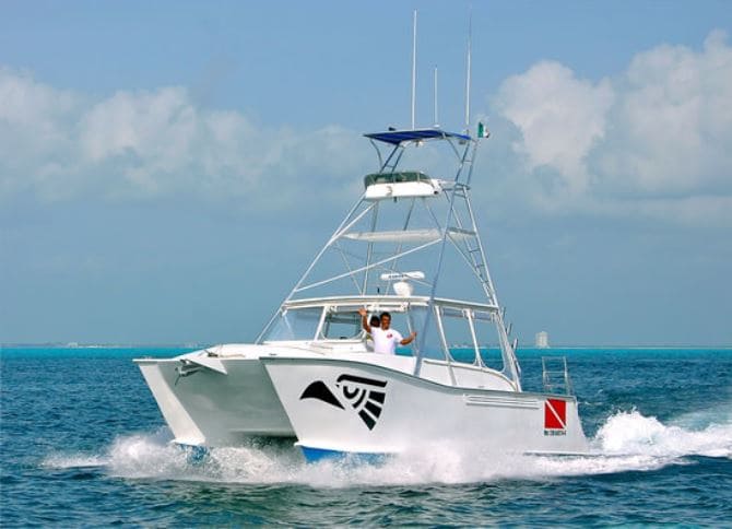 Isladventures Catatonic 1