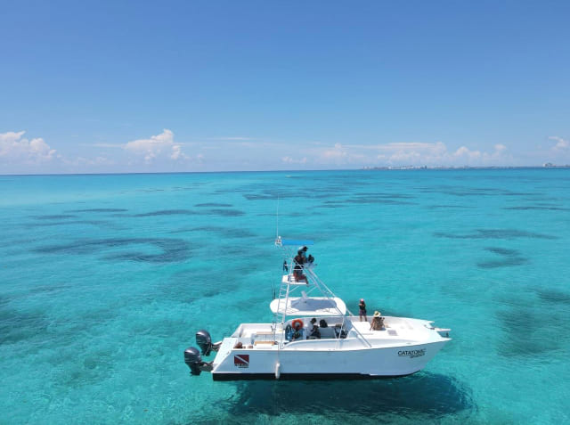 Isladventures Catatonic 2