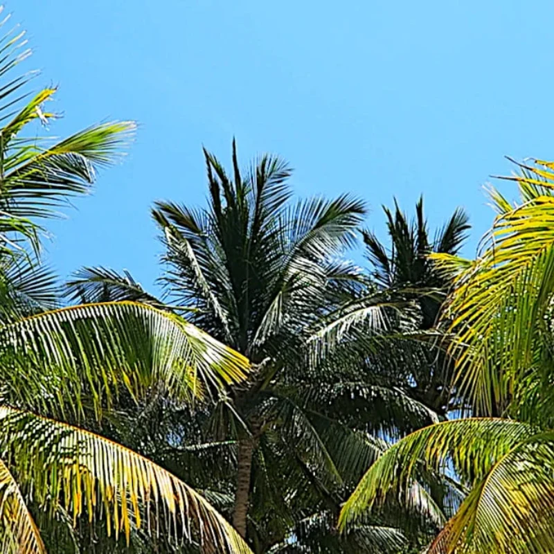 The Islands Isladventures